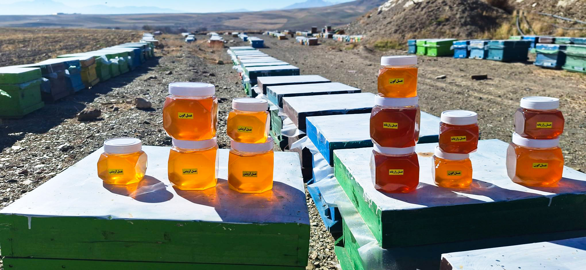 ۲۰۲۳۱۲۰۴_۱۲۰۲۰۹-(1)