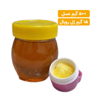 معجون ژل رویال و عسل (500 گرم عسل / 15 گرم ژل رویال)